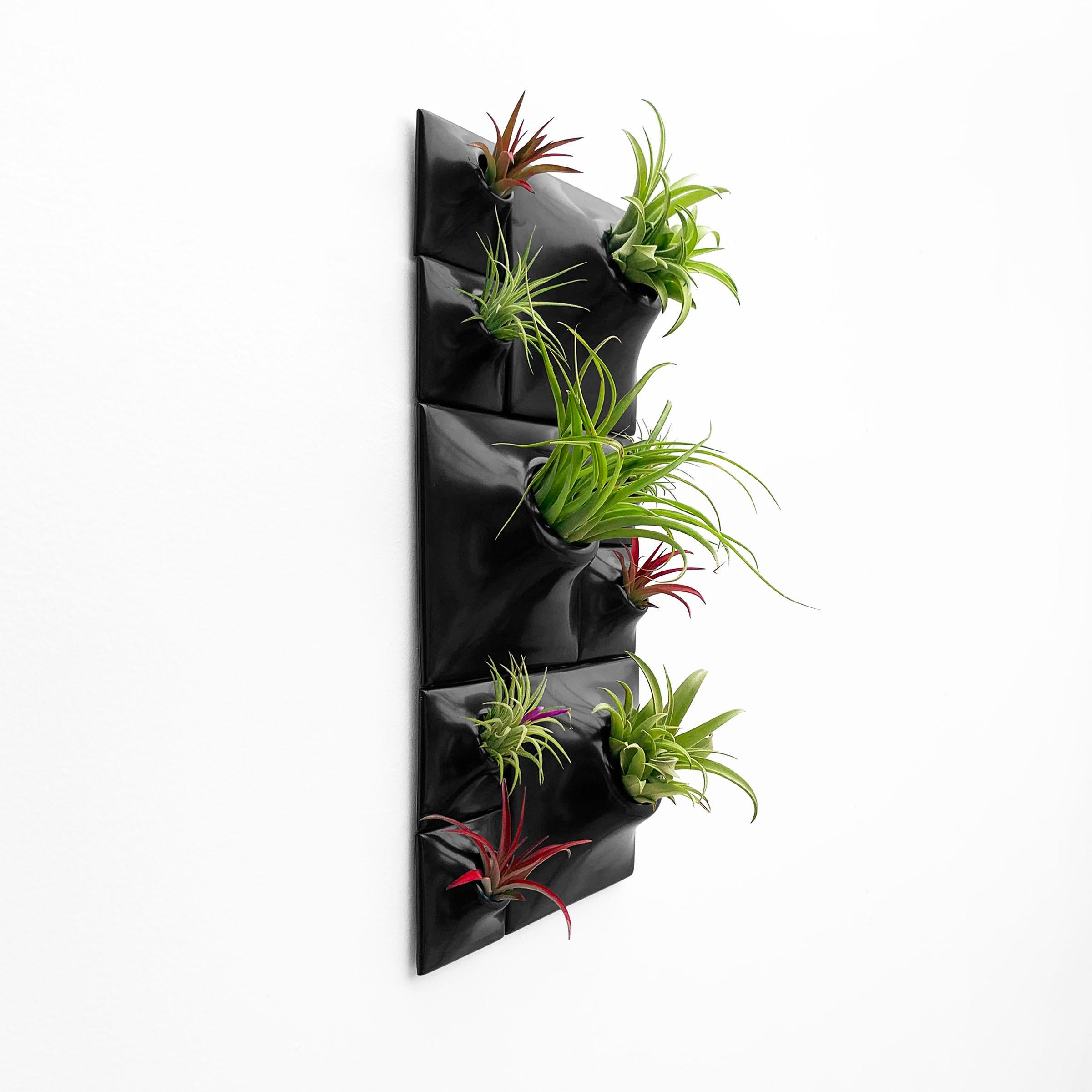 Modern Black Wall Planter Set, Biophilic Wall Sculpture, Moss Wall Art, Node BR3

Take your plant wall design to the next level and create an elegant biophilic centerpiece with this awe-inspiring set of modular Node Wall Planters. Create a moss wall