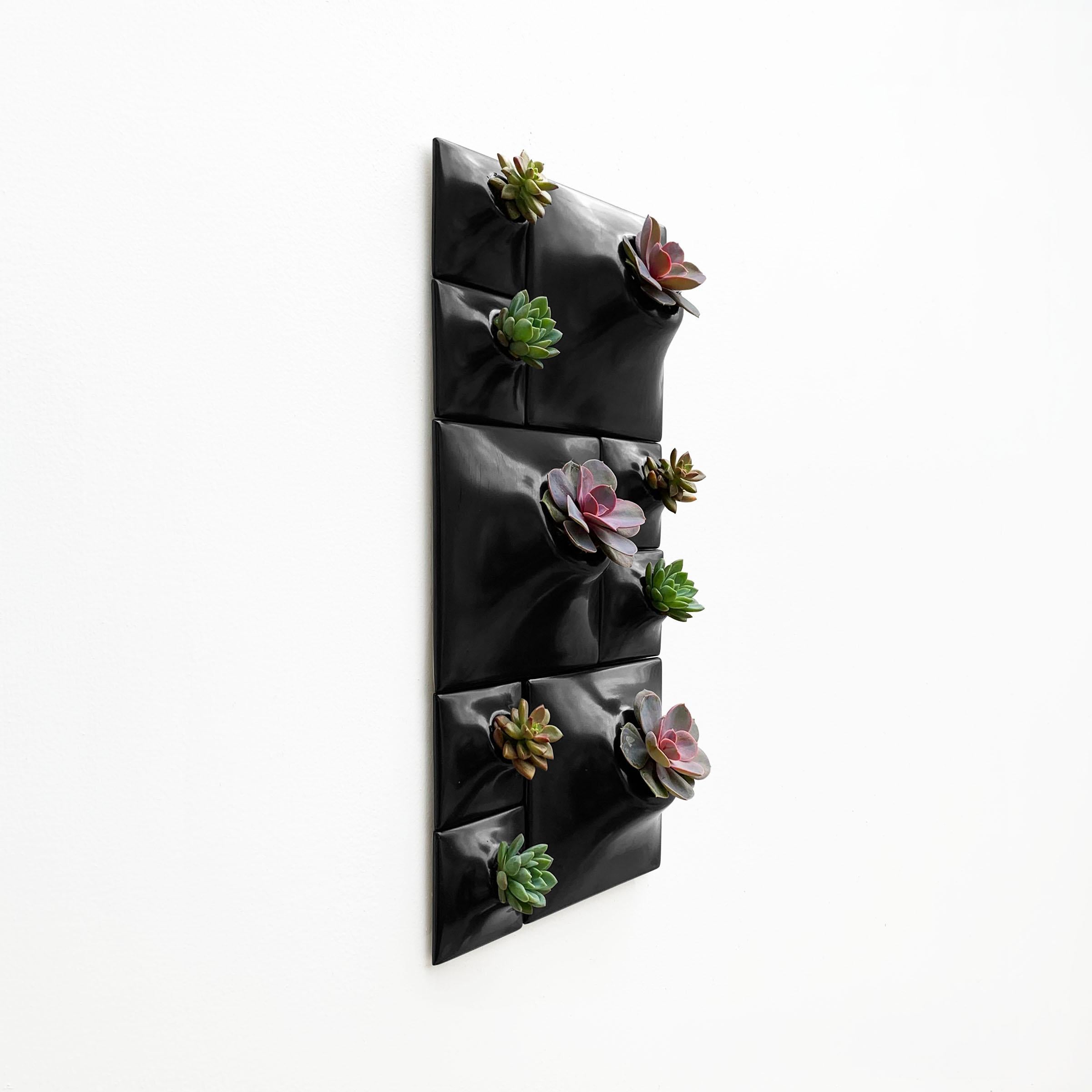 Modern Black Wall Planter Set, Biophilic Wall Sculpture, Moss Wall Art, Node BR3 In New Condition For Sale In Bridgeport, PA