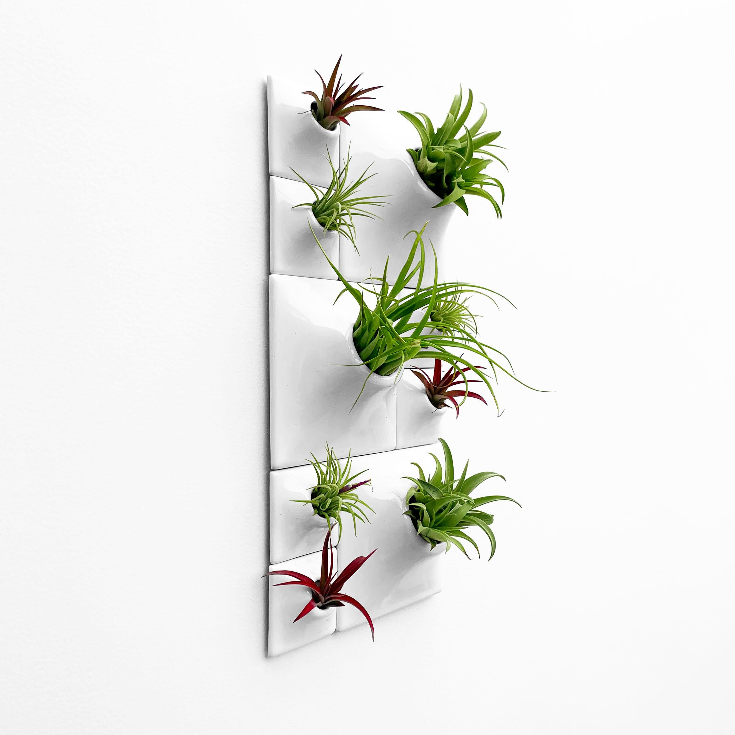 Modern White Wall Planter Set, Biophilic Wall Sculpture, Moss Wall Art, Node BR3 In New Condition For Sale In Bridgeport, PA