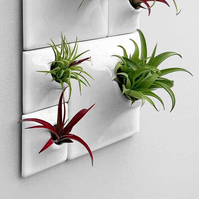 Modern White Wall Planter Set, Biophilic Wall Sculpture, Moss Wall Art