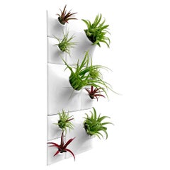 Modern White Wall Planter Set, Biophilic Wall Sculpture, Moss Wall Art, Node BR3