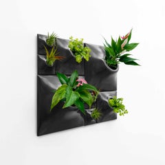 Modern Black Wall Planter Set, Greenwall Sculpture, Living Wall Decor, Node BS2