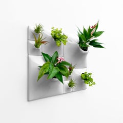 Modern Gray Wall Planter Set, Greenwall Sculpture, Living Wall Decor, Node BS2L