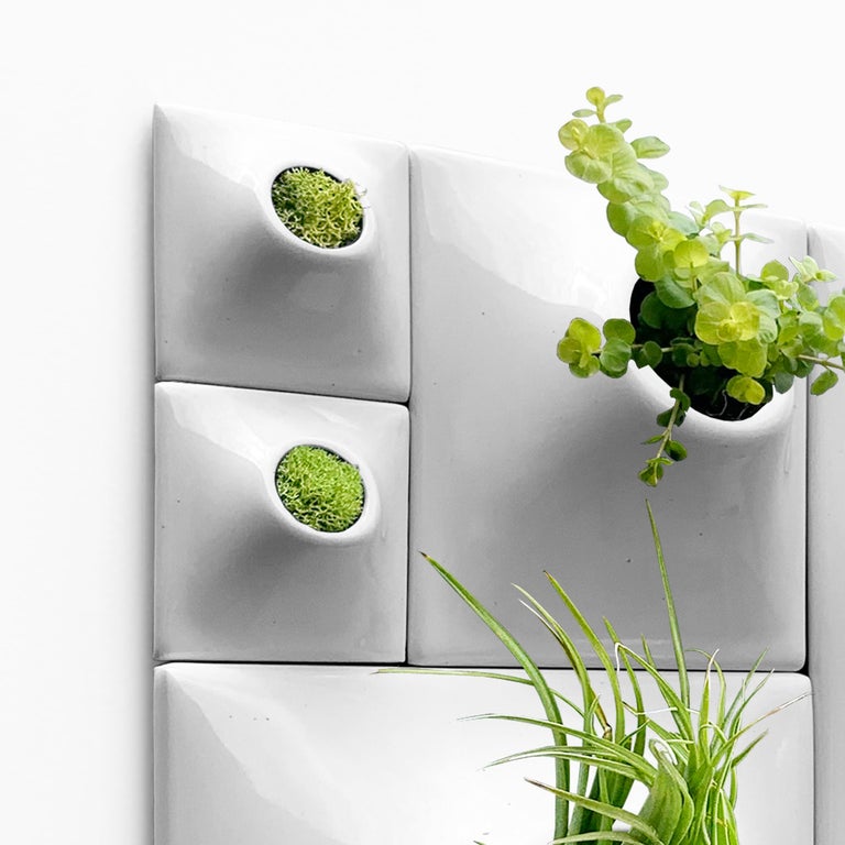 Modern Wall Planter - Plant Wall Art - Living Wall Decor - Node BS2 ...