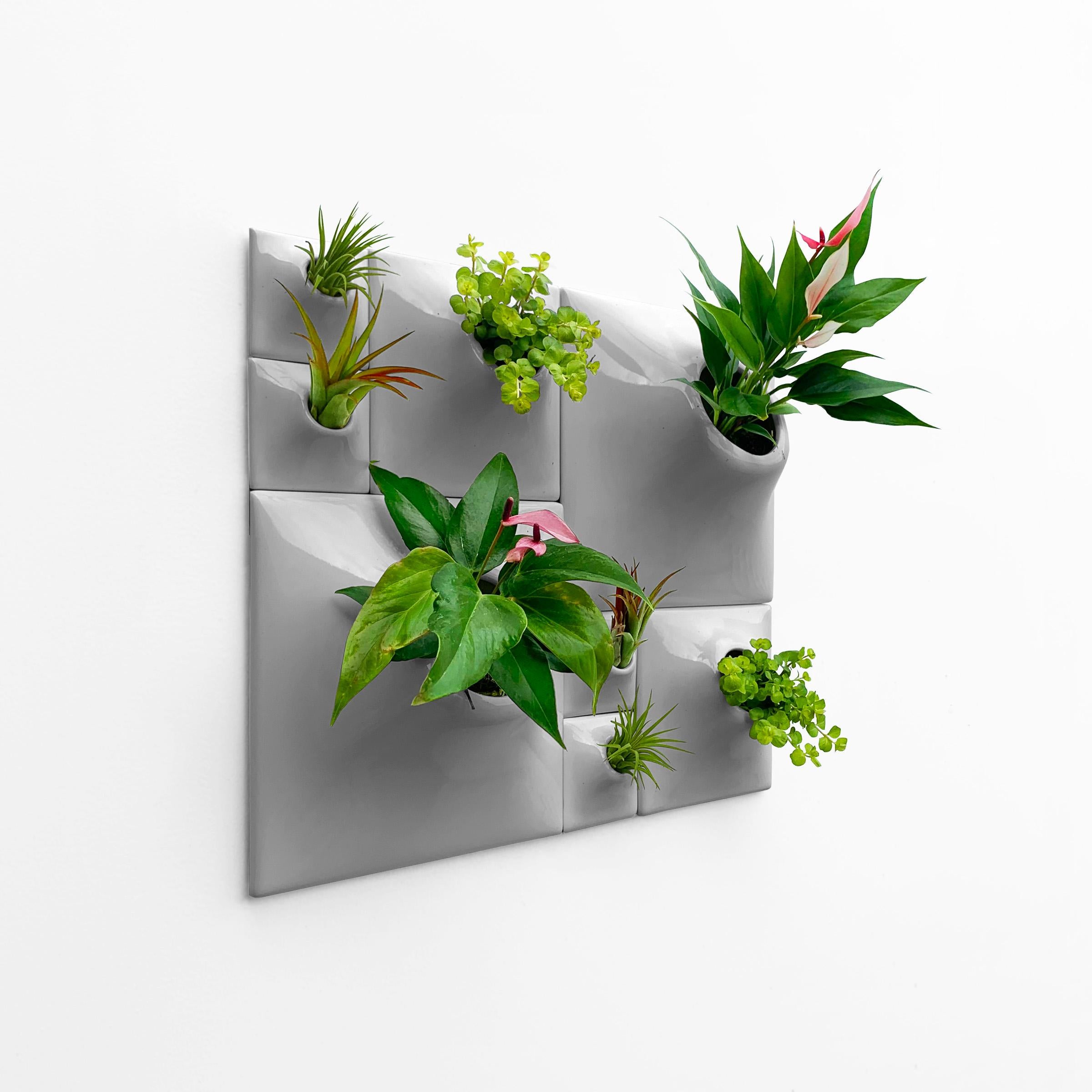 Modern Gray Wall Planter Set, Greenwall Sculpture, Living Wall Decor, Node BS2M

Reimagine your wall art as an awe-inspiring sculptural plant wall or moss wall in your modern home with this breathtaking Node Wall Planter set. Take your eyes on a