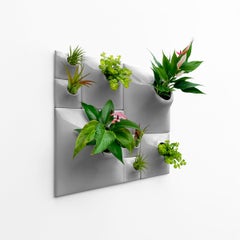 Modern Gray Wall Planter Set, Greenwall Sculpture, Living Wall Decor, Node BS2M