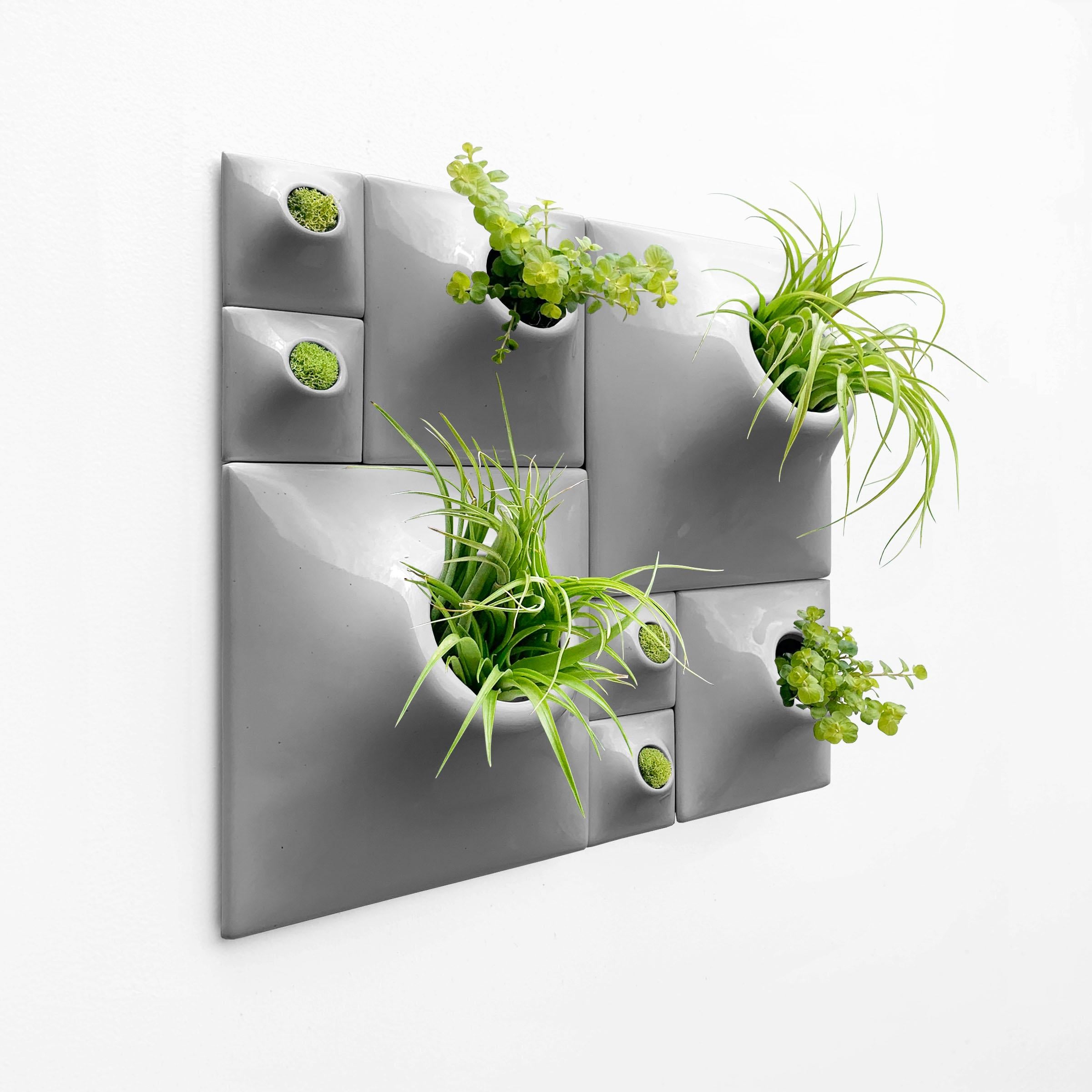 succulent wall planters