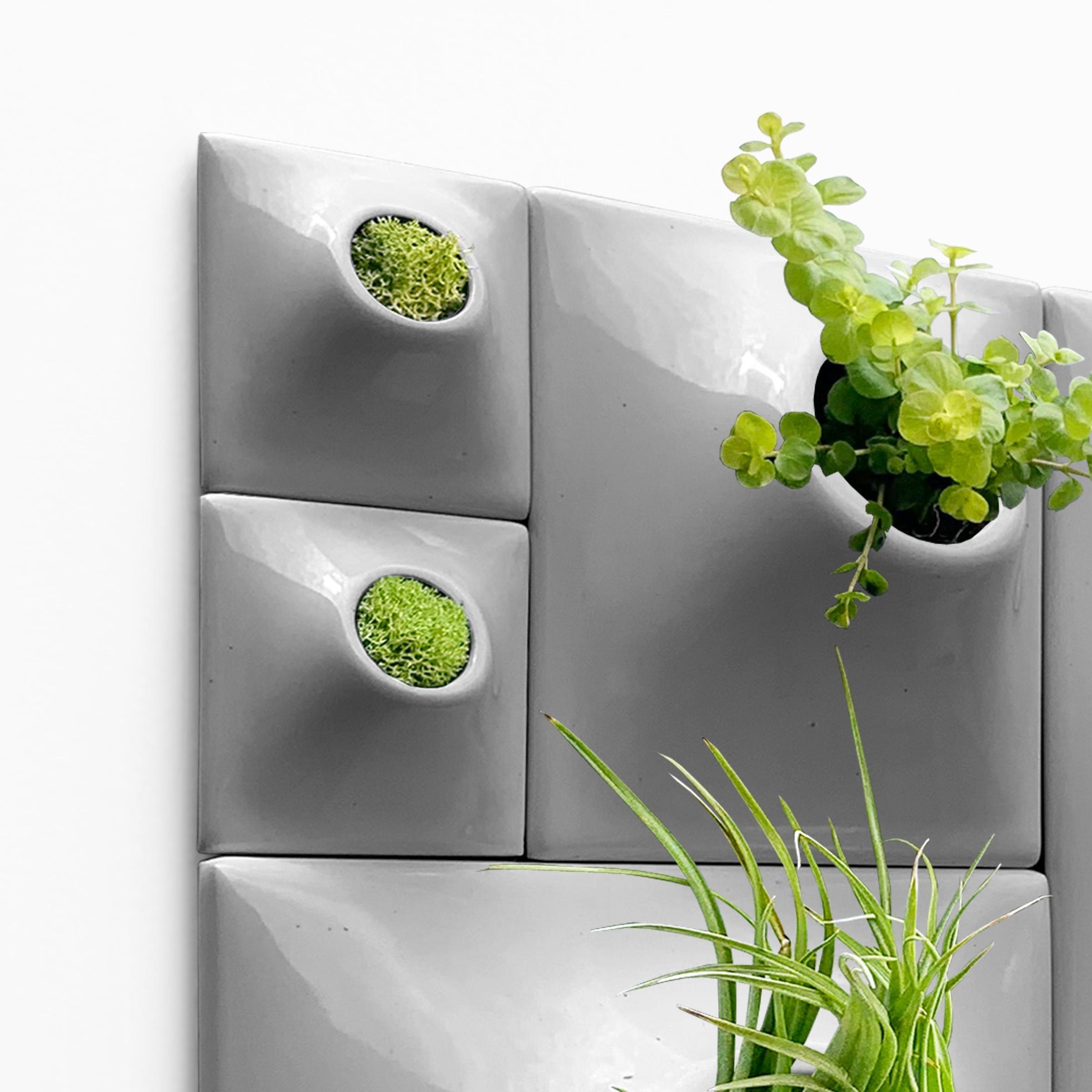 Modern Gray Wall Planter Set, Greenwall Sculpture, Living Wall Decor, Node BS2M In New Condition For Sale In Bridgeport, PA