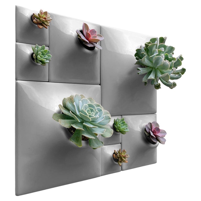 Modern Gray Wall Planter Set, Greenwall Sculpture, Living Wall Decor, Node BS2M For Sale at 1stDibs