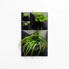 Modern Black Wall Planter Set, Mid Century Modern Decor, Art Sculpture, Node BS1