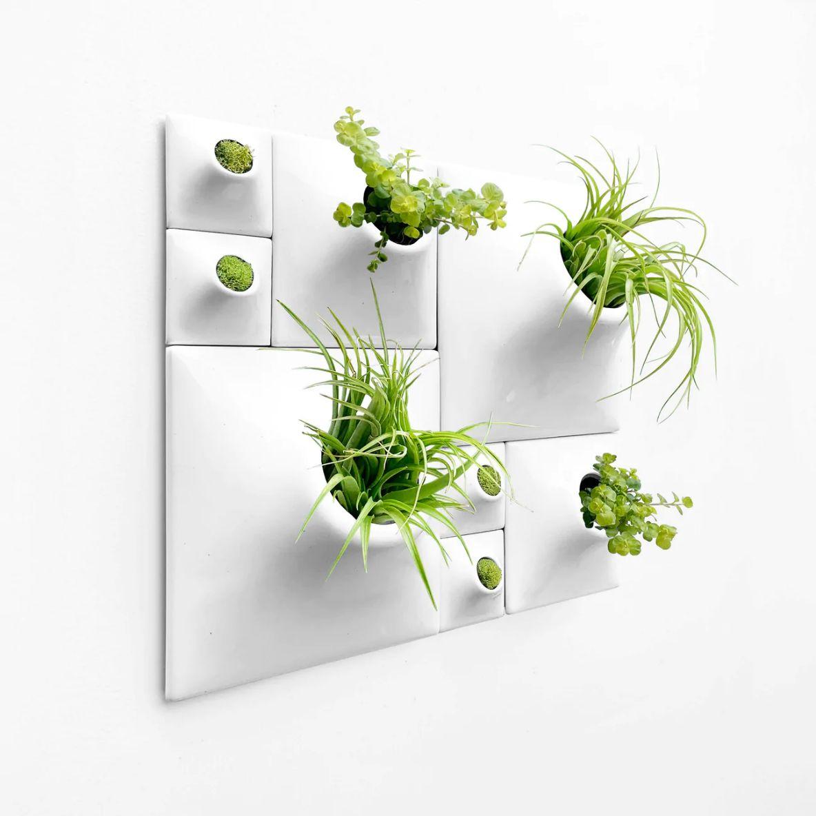 Modern White Wall Planter Set, Greenwall Sculpture, Living Wall Decor, Node BS2

Reimagine your wall art as an awe-inspiring sculptural plant wall or moss wall in your modern home with this breathtaking Node Wall Planter set. Take your eyes on a