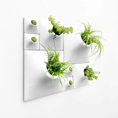Modern White Wall Planter Set, Greenwall Sculpture, Living Wall Decor, Node BS2
