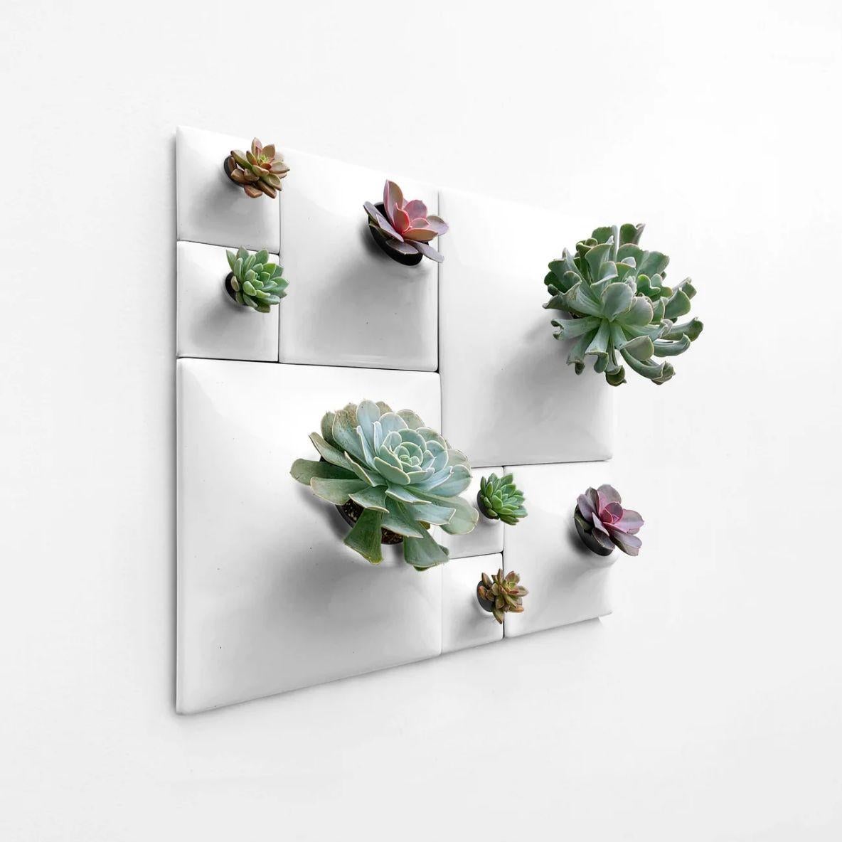 Glazed Modern White Wall Planter Set, Greenwall Sculpture, Living Wall Decor, Node BS2 For Sale