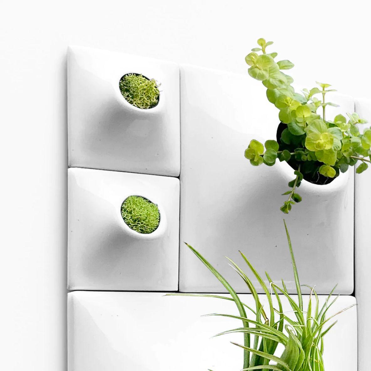 Contemporary Modern White Wall Planter Set, Greenwall Sculpture, Living Wall Decor, Node BS2 For Sale