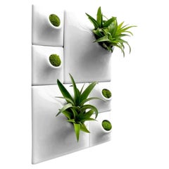 Modern Wall Planter - Plant Wall - Living Wall - Moss Wall - Node BR2 White
