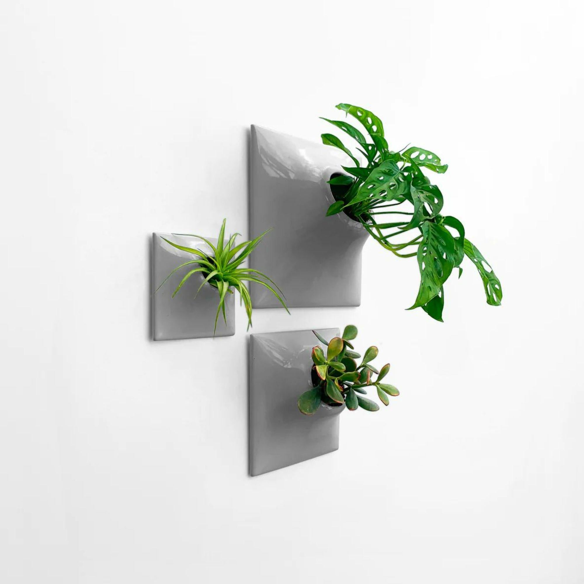 Modern Gray Wall Planter Set, Mid Century Modern Decor, Plant Wall Art, Node TPM

Take your modern wall art to the next level by creating a dynamic and intriguing living wall or modular plant wall in your home or office with this Node Wall Planter