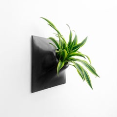 Modern Black Wall Planter, Plant Wall Sculpture, Living Decor, Node 15" X Large