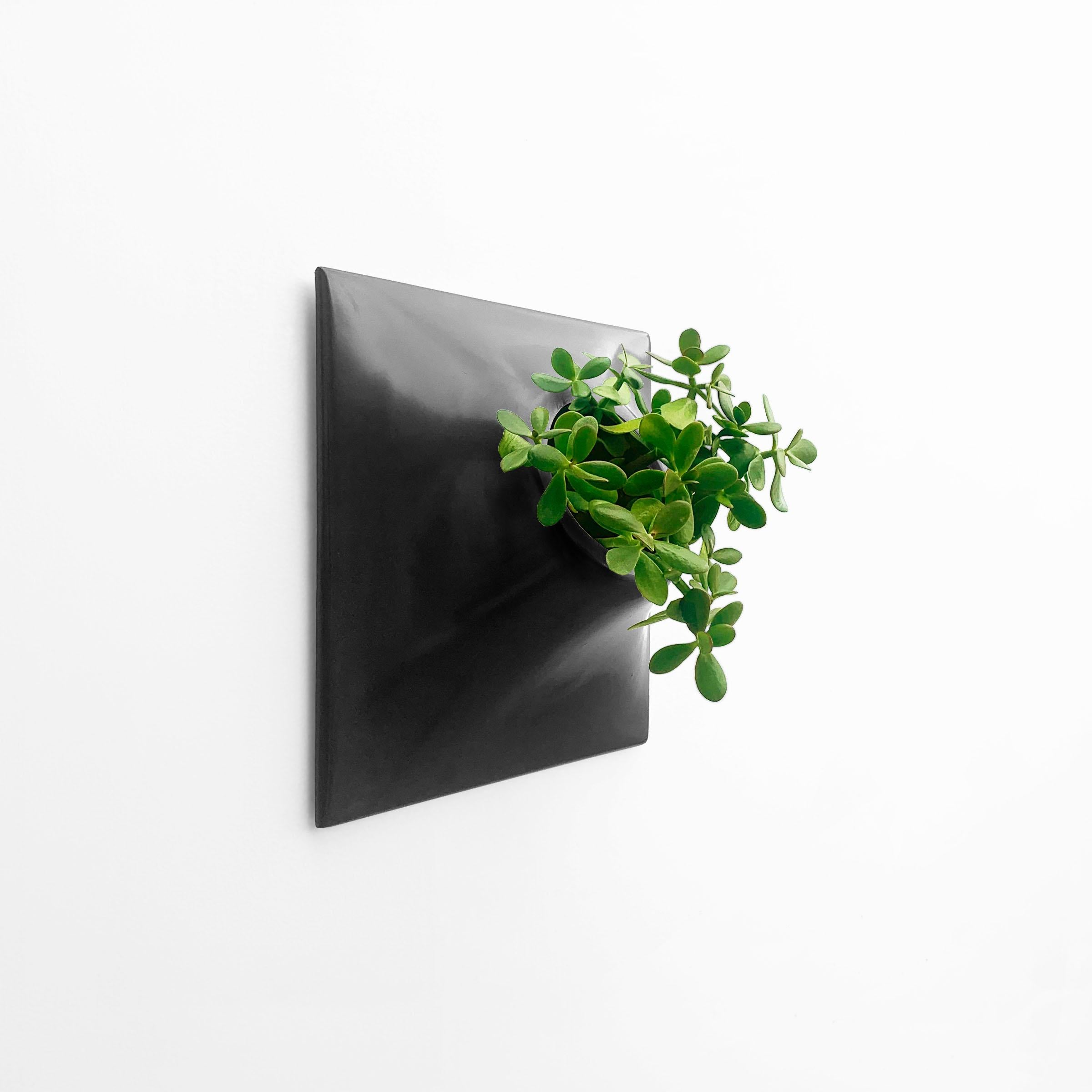 American Modern Black Wall Planter, Plant Wall Sculpture, Living Decor, Node 15