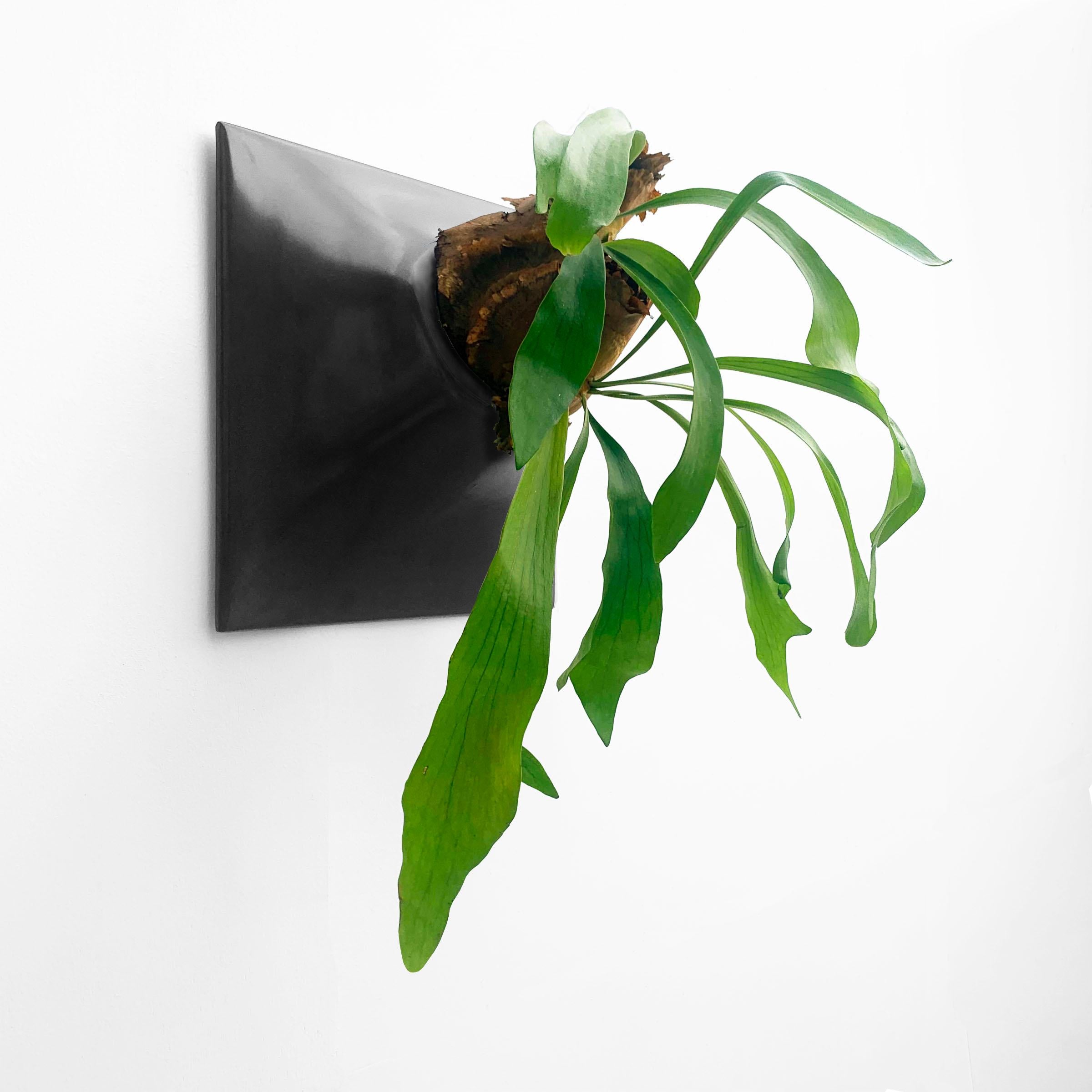 Glazed Modern Black Wall Planter, Plant Wall Sculpture, Living Decor, Node 15