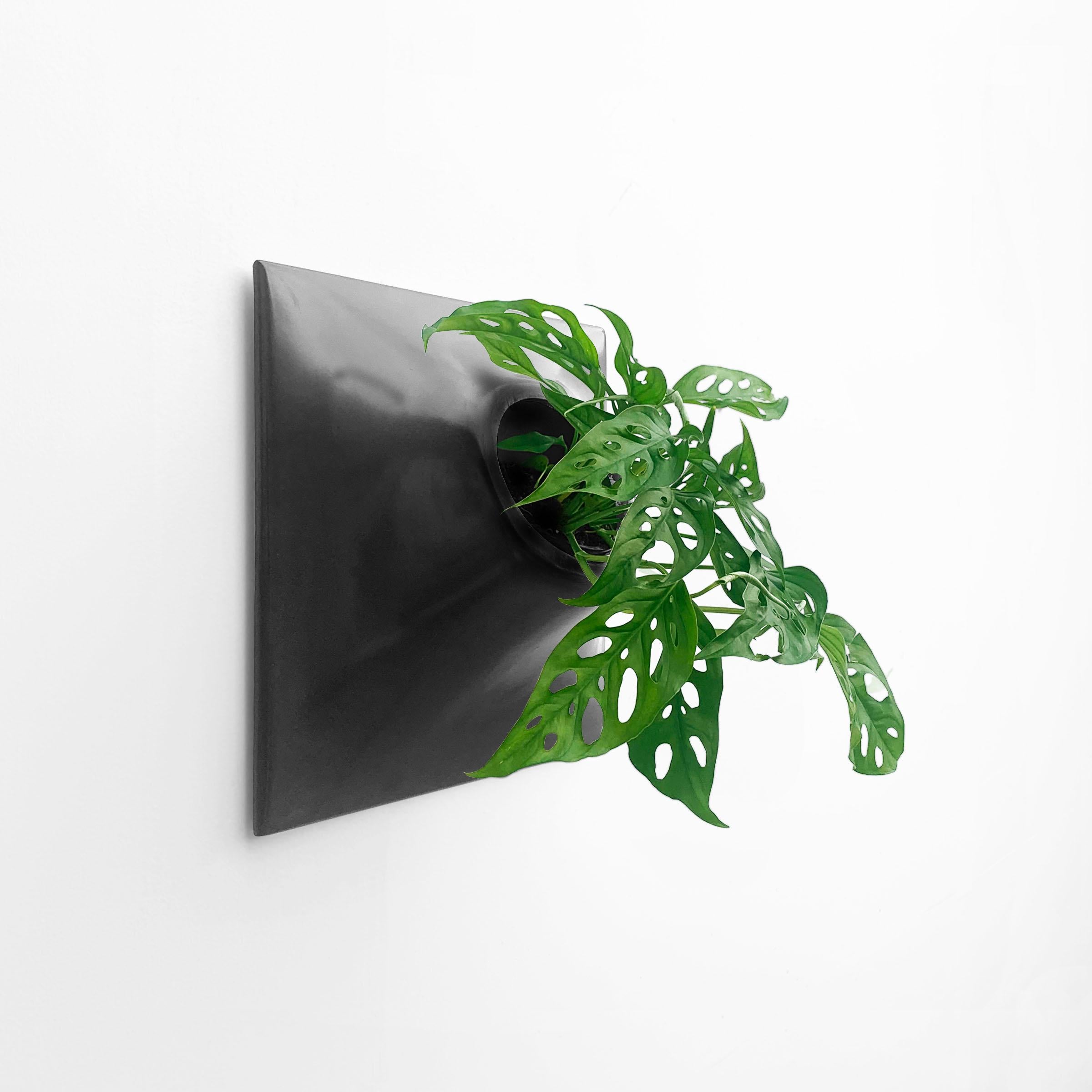 Modern Black Wall Planter, Plant Wall Sculpture, Living Decor, Node 15