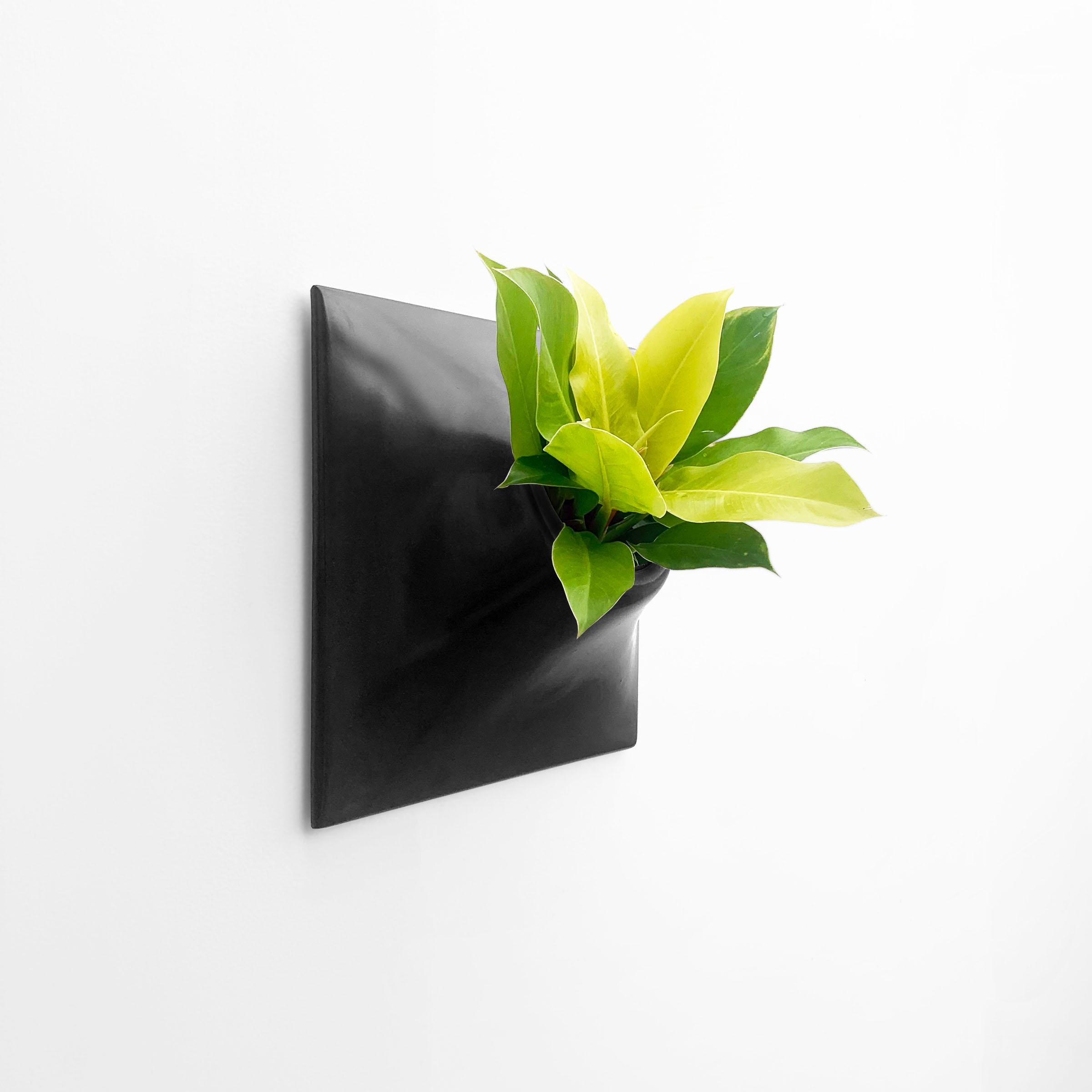 Contemporary Modern Black Wall Planter, Plant Wall Sculpture, Living Decor, Node 15