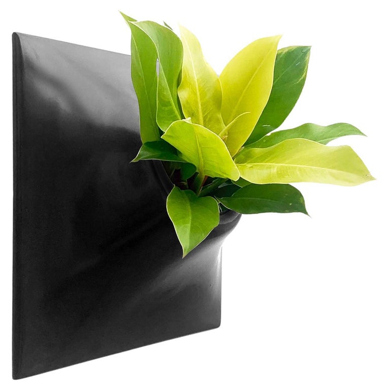 Modern Ceramic Wall Planter Plant Wall Living Wall Decor Node 15" Gunmetal For Sale at 1stDibs