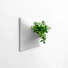 Modern Gray Wall Planter, Plant Wall Sculpture, Living Decor, Node 15" X Large L