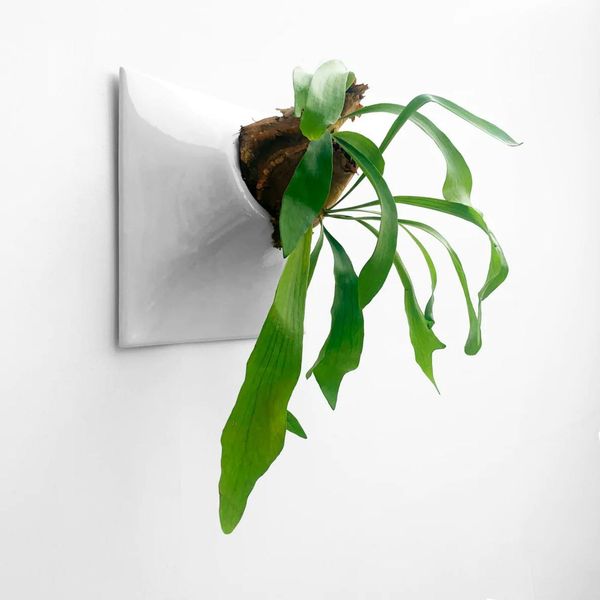 American Modern Gray Wall Planter, Plant Wall Sculpture, Living Decor, Node 15