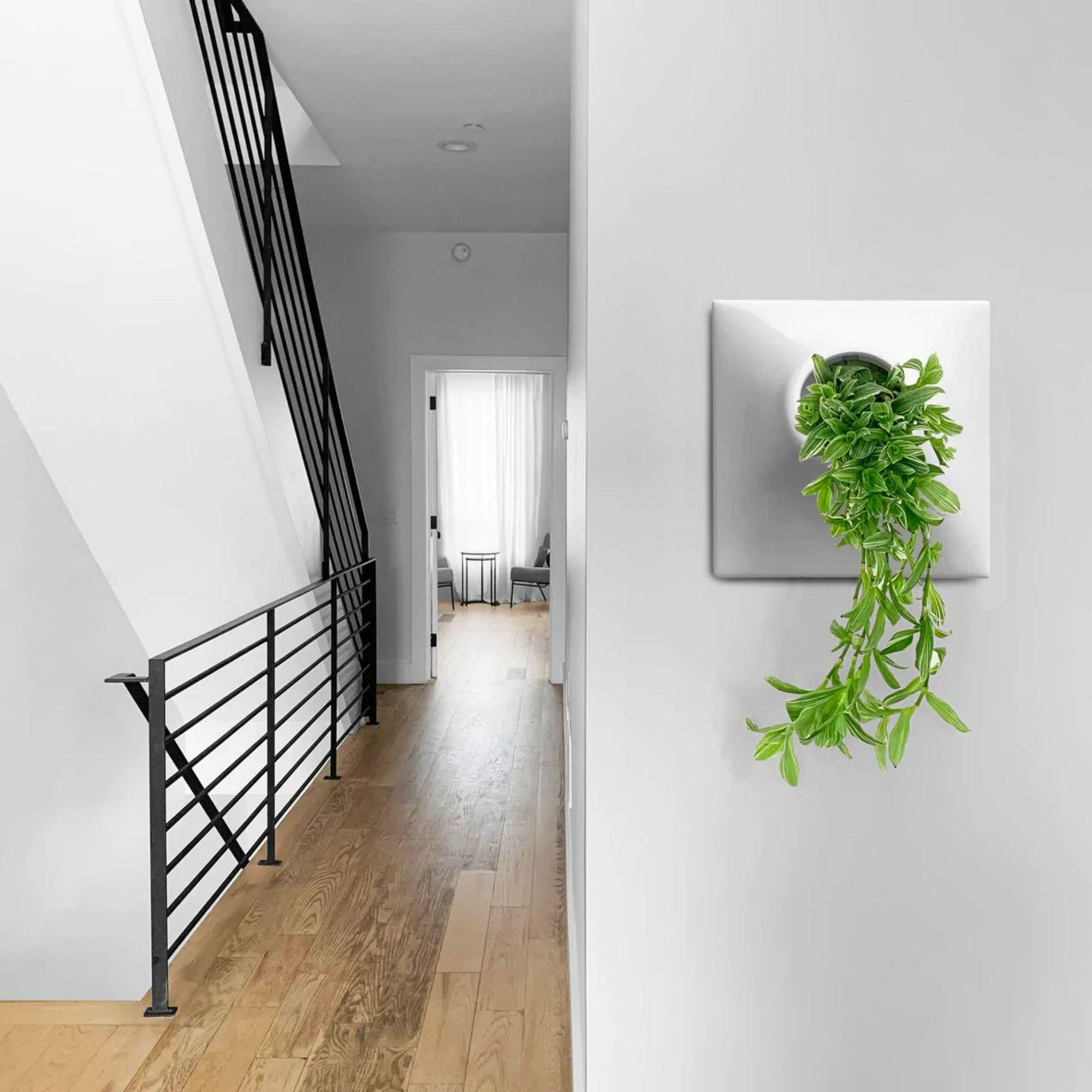 Ceramic Modern Gray Wall Planter, Plant Wall Sculpture, Living Decor, Node 15
