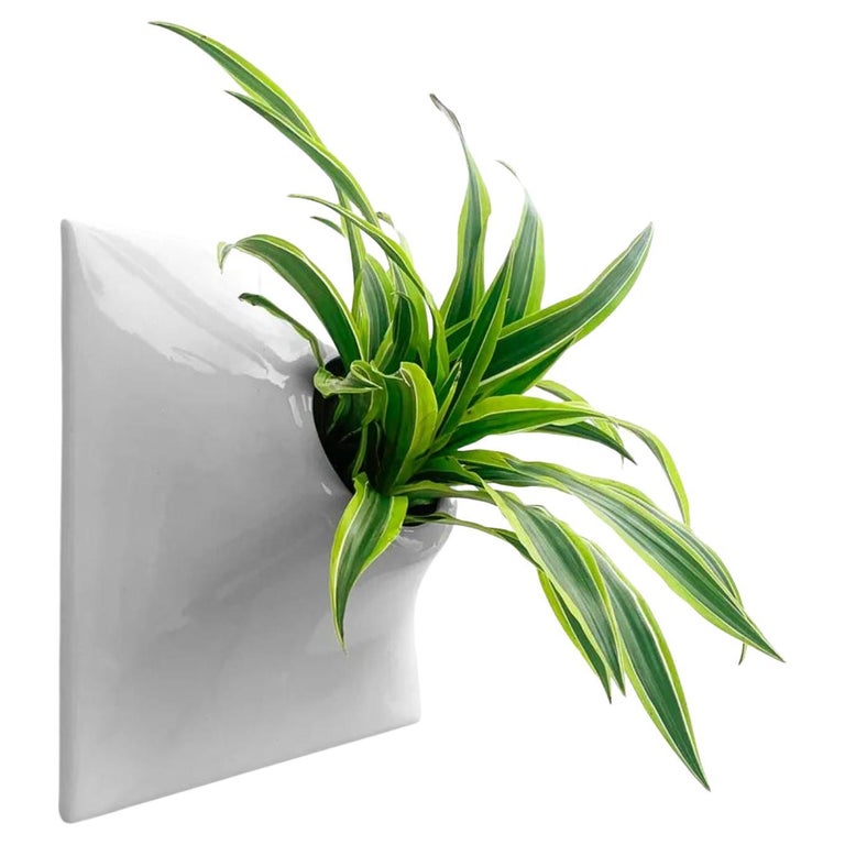 Modern Ceramic Wall Planter Plant Wall Living Wall Decor Node 15" Lt Gray For Sale at 1stDibs