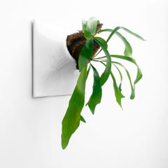 Modern White Wall Planter, Plant Wall Sculpture, Living Decor, Node 15" X Large