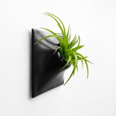 Modern Black Wall Planter, Sculpture, Mid Century Modern Decor, Node 6" Small