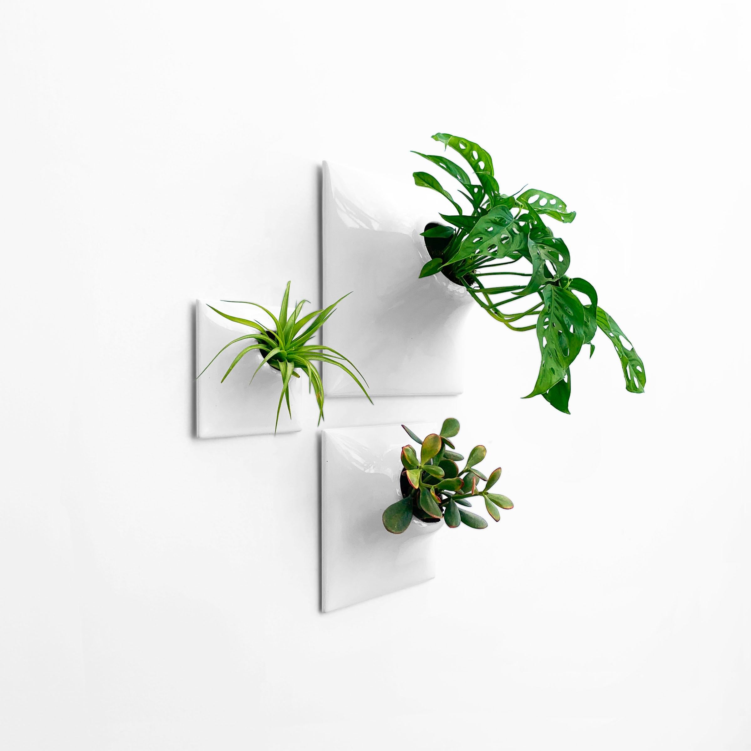 American Modern White Wall Planter Set, Mid Century Modern Decor, Plant Wall Art, Node TP For Sale