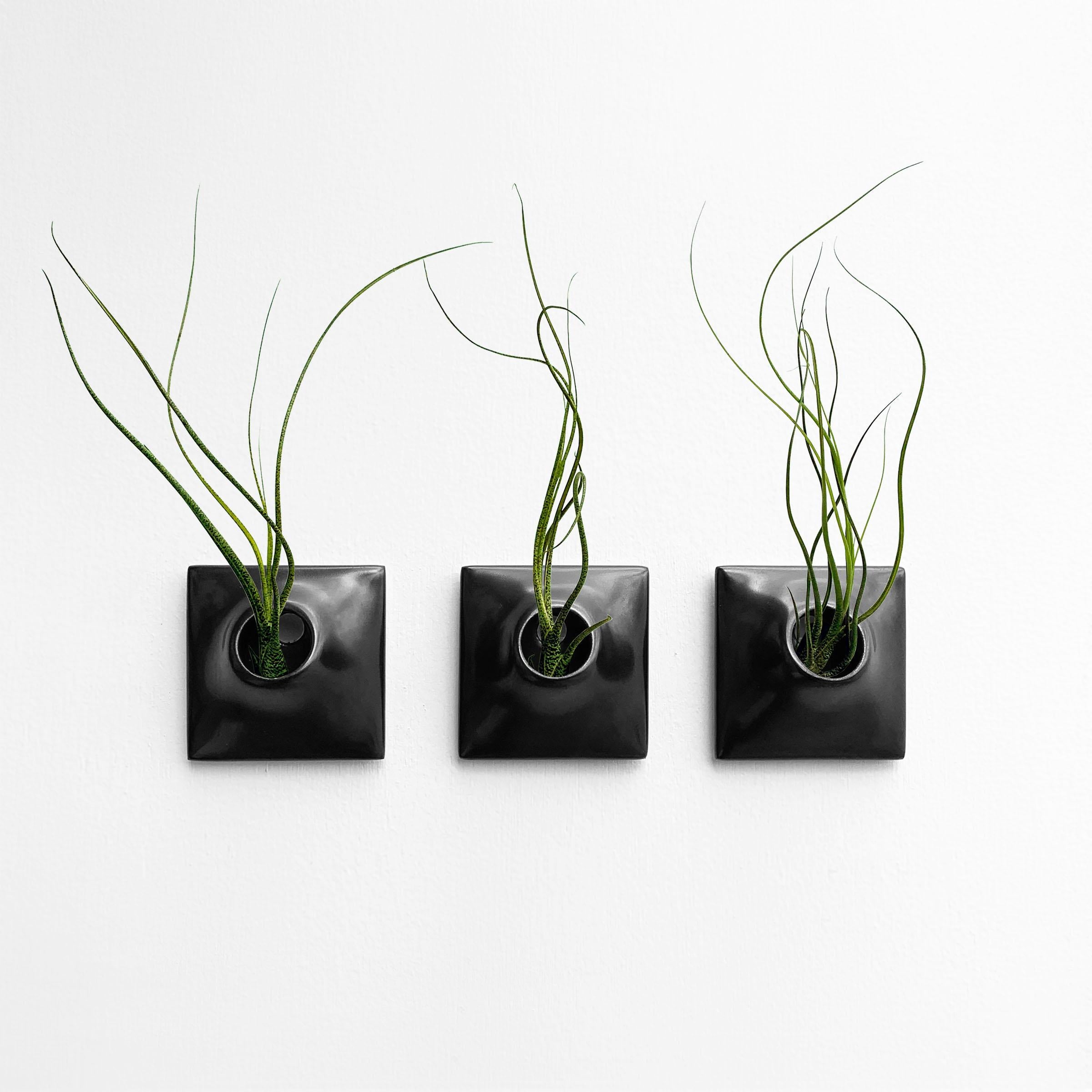 American Modern Black Wall Planter Set, Air Plant Holder, Moss Wall Art, Node 3