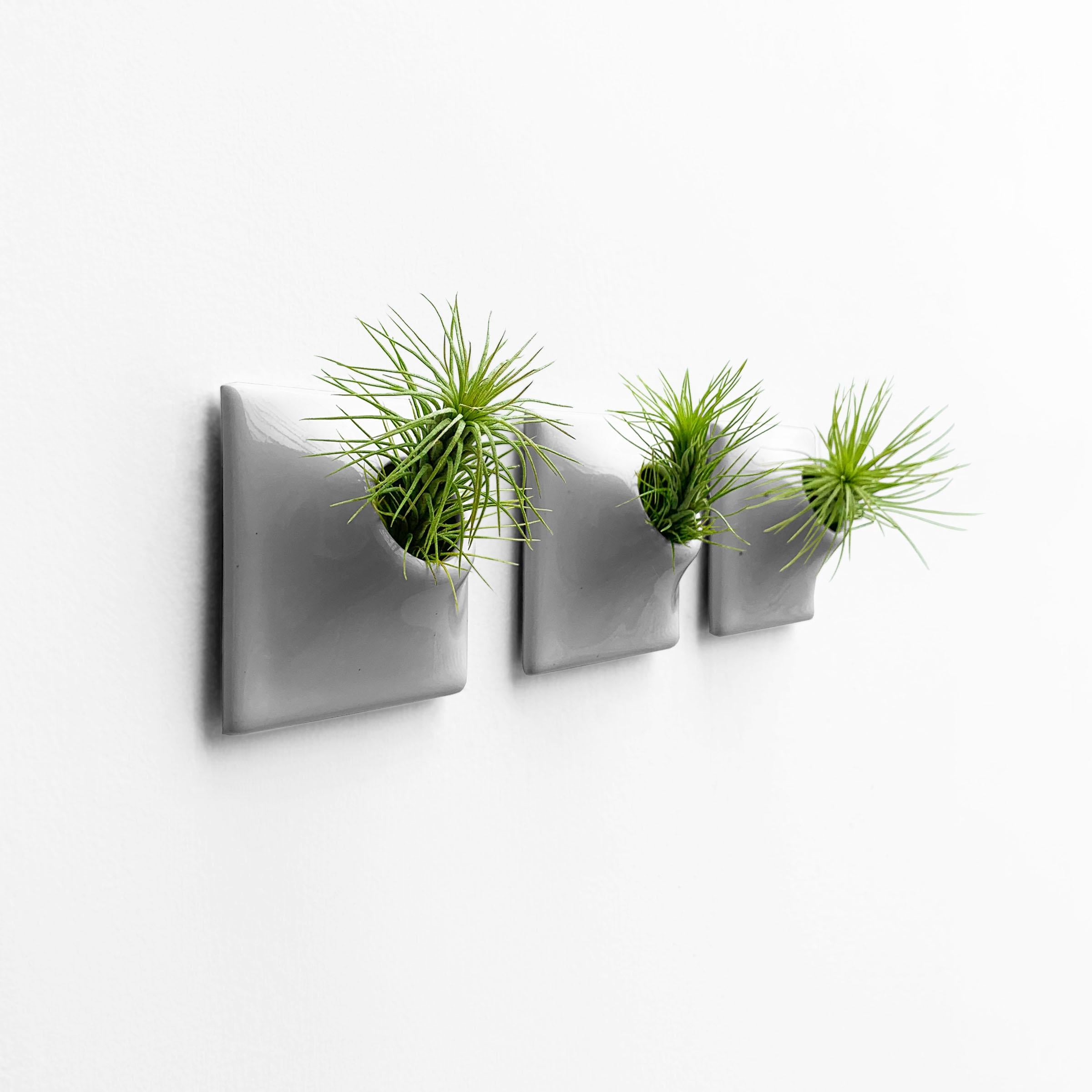 Modern Gray Wall Planter Set, Air Plant Holder, Moss Wall Art, Node 3