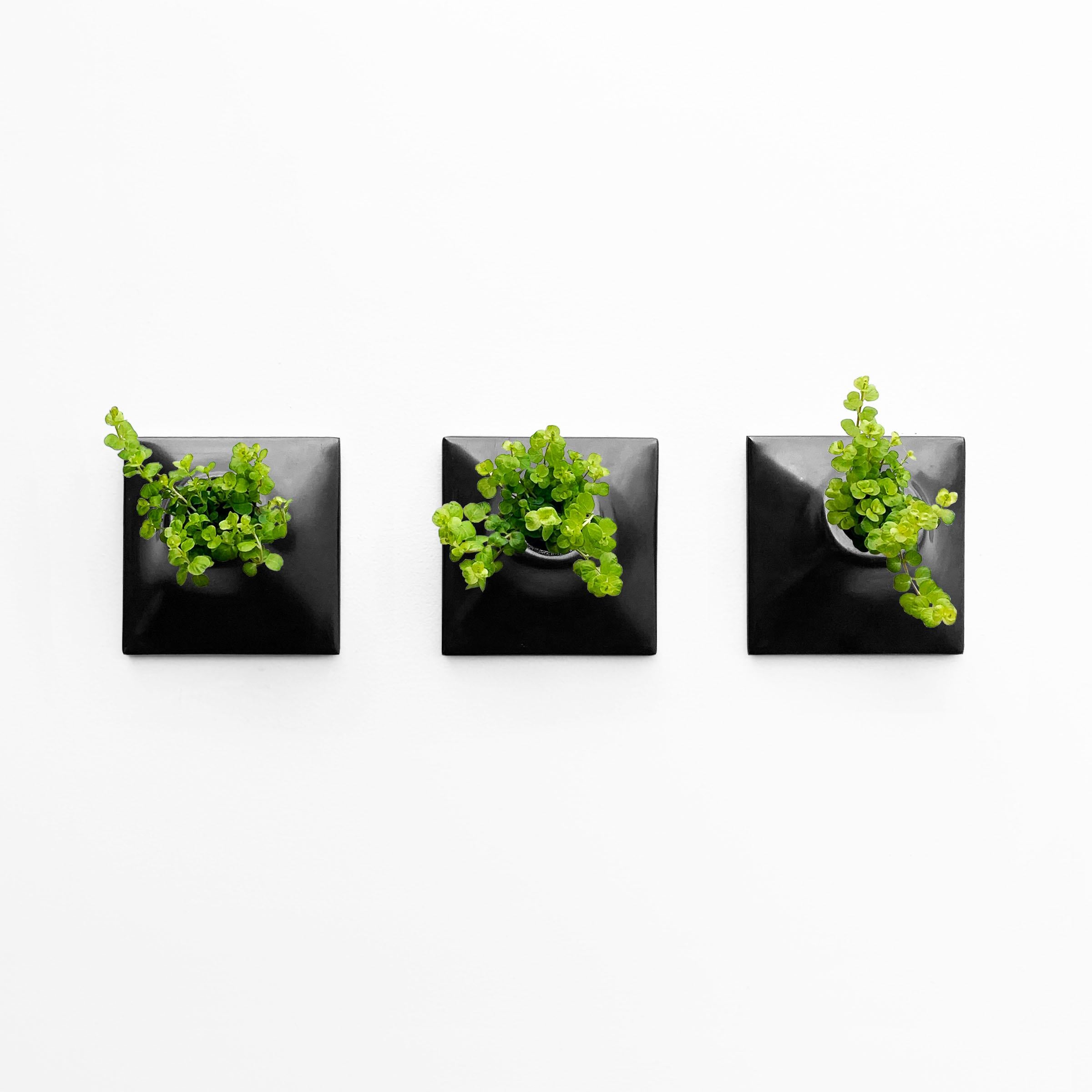 modern wall planter