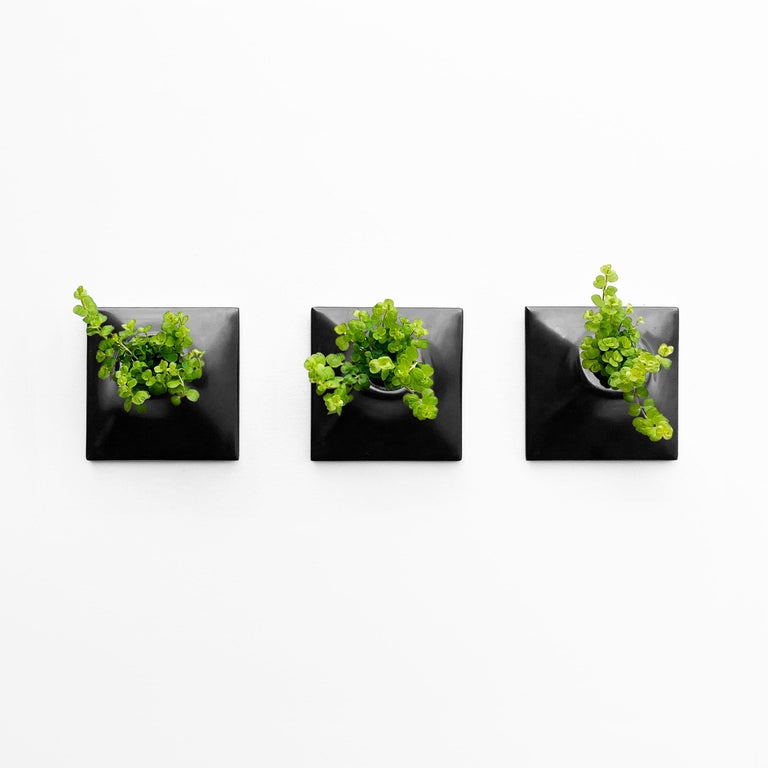 Modern Black Wall Planter Set, Plant Wall Art, Living Wall Decor, Node