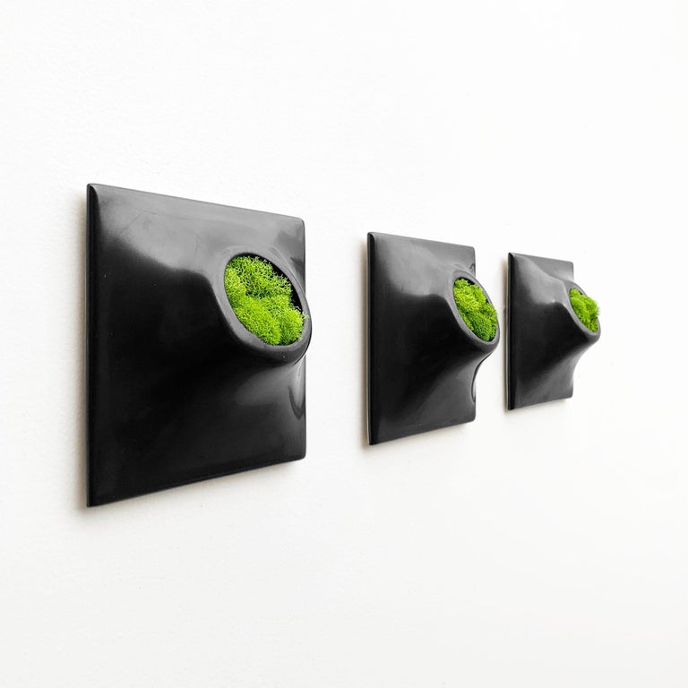 Modern Black Wall Planter Set, Plant Wall Art, Living Wall Decor, Node
