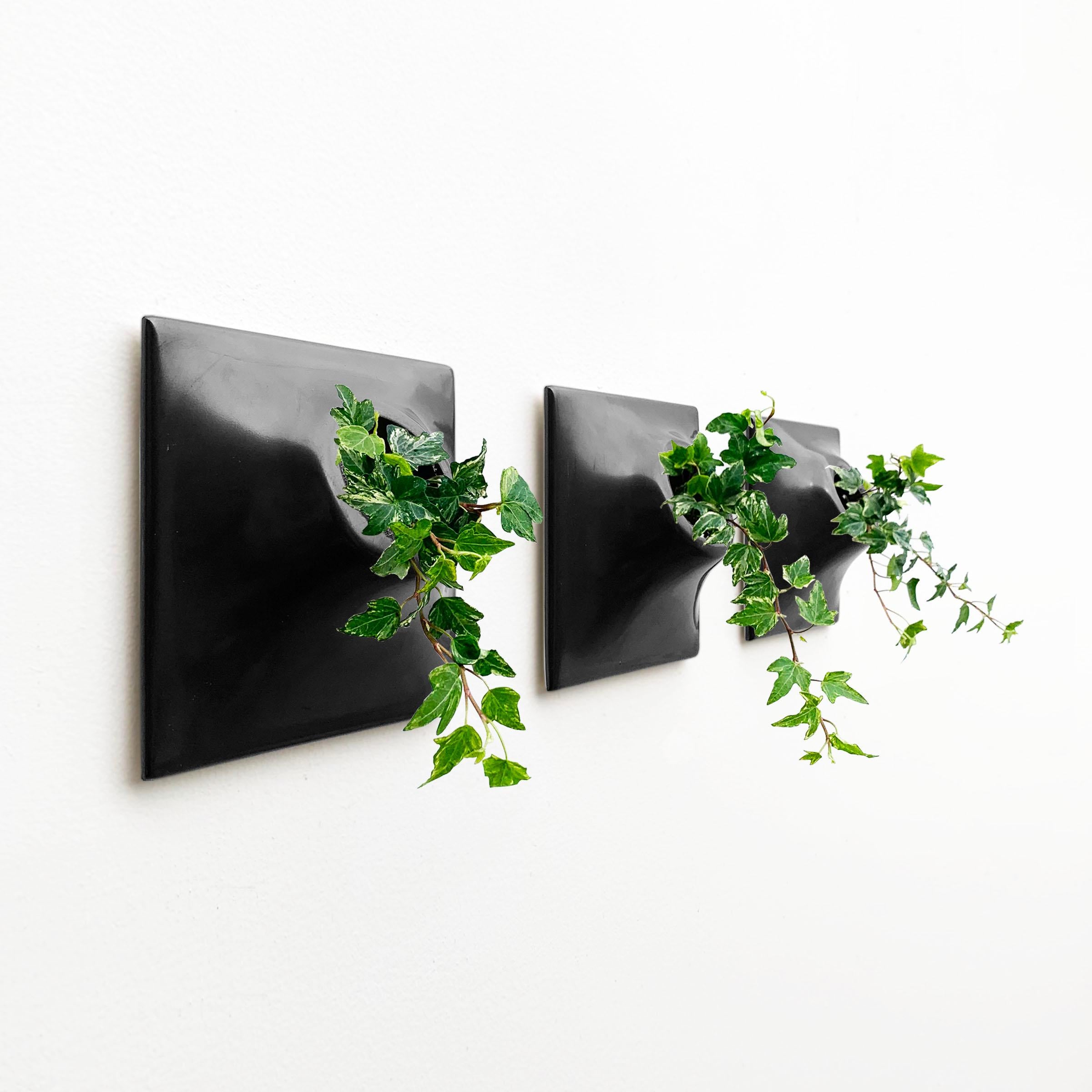 Modern Black Wall Planter Set, Plant Wall Art, Living Wall Decor, Node 6