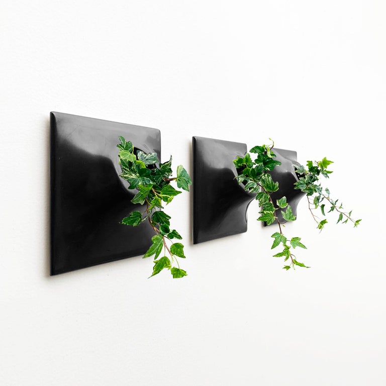 Modern Black Wall Planter Set, Plant Wall Art, Living Wall Decor, Node