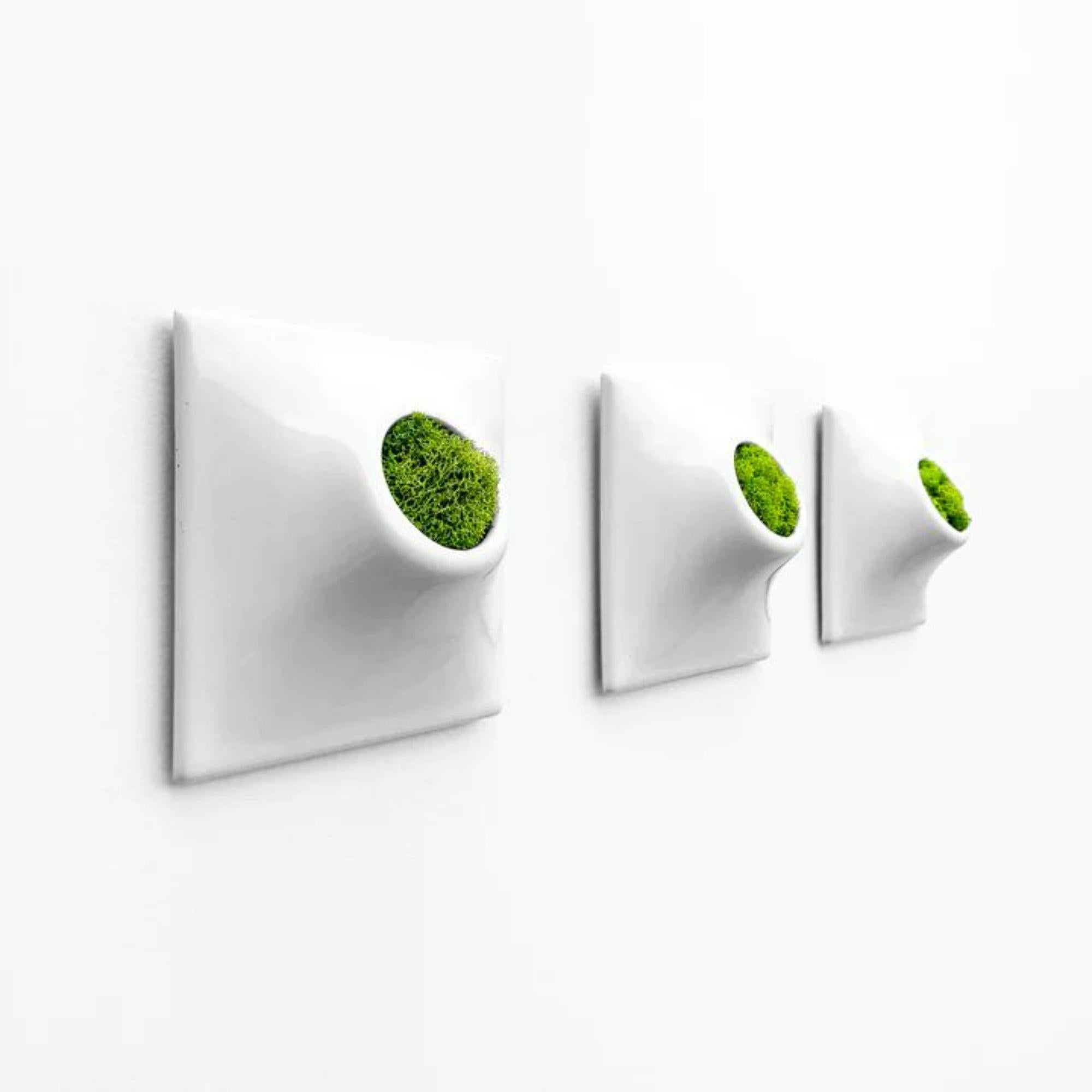 modern wall planters outdoor