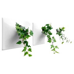 Modern Gray Wall Planter Set, Plant Wall Art, Living Wall Decor, Node 6" Small L