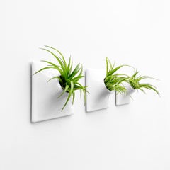 Modern White Wall Planter Set, Plant Wall Art, Living Wall Decor, Node 6" Small