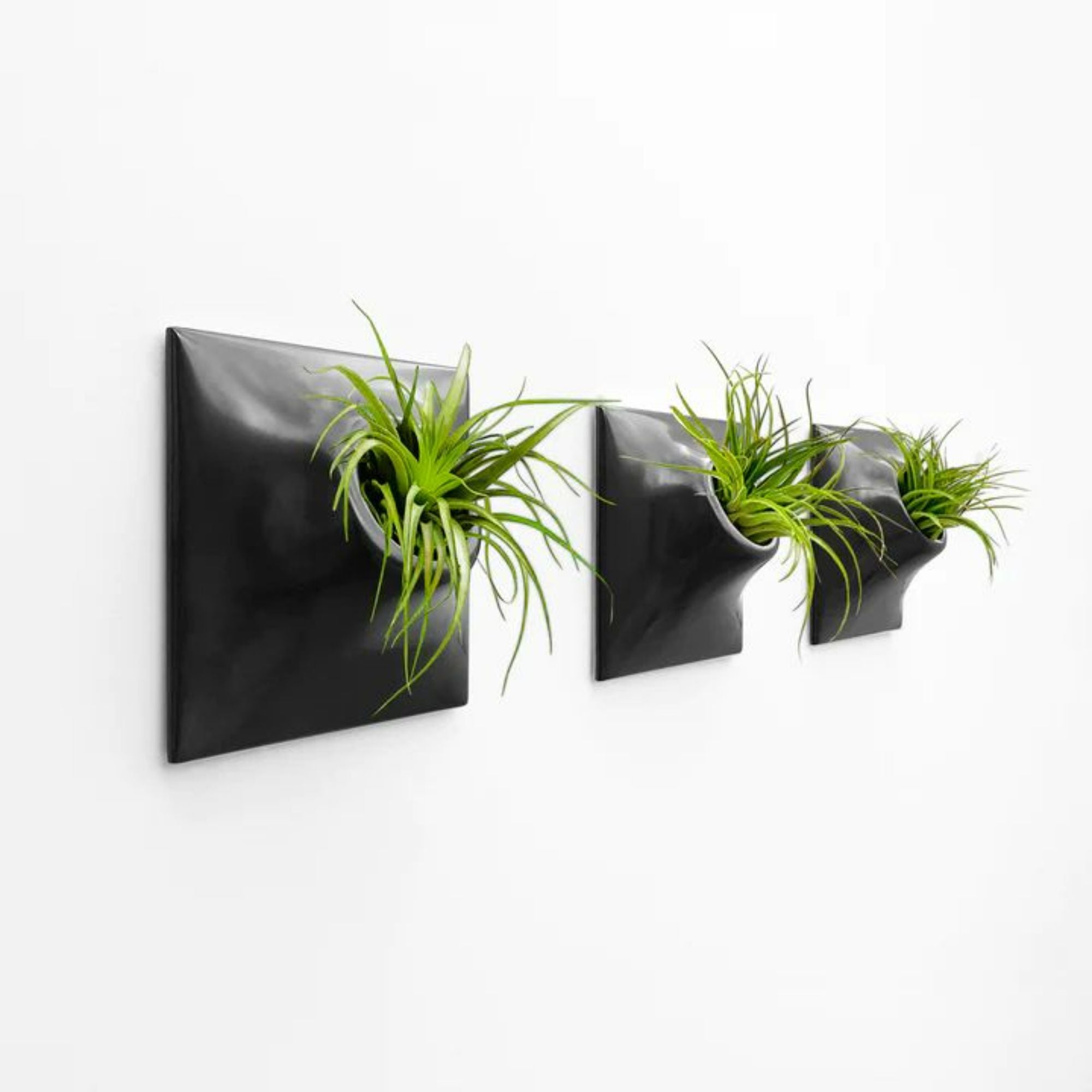 Modern Black Wall Planter Set, Plant Wall Art, Wall Sculpture, Node 9