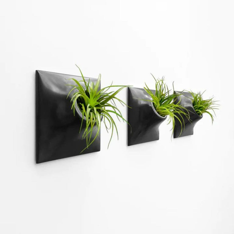 Modern Wall Planter Plant Wall Art Living Wall Decor Node 9" Set Gunmetal For Sale at 1stDibs