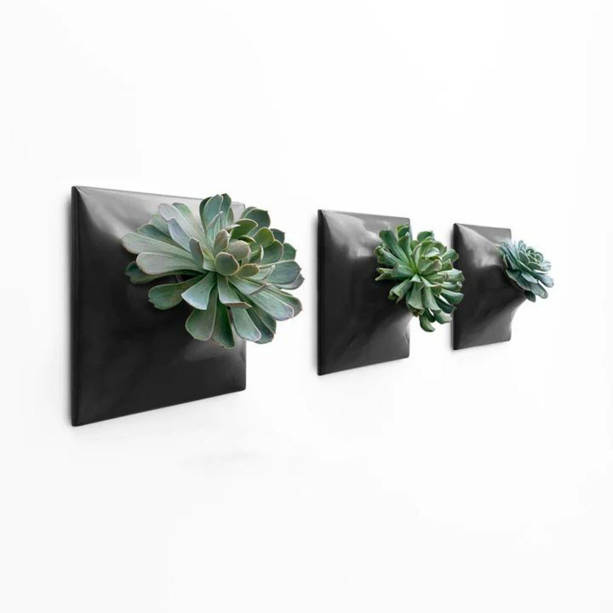 Modern Black Wall Planter Set, Plant Wall Art, Wall Sculpture, Node 9