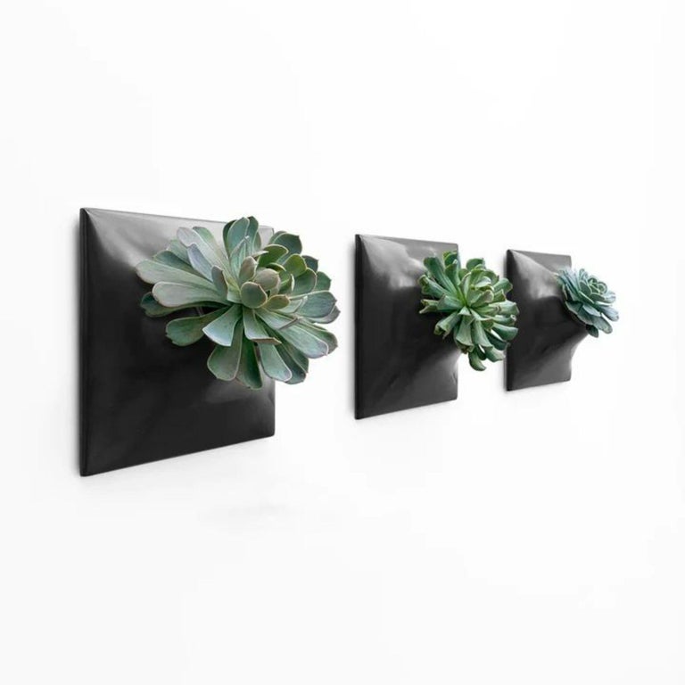 Modern Wall Planter Plant Wall Art Living Wall Decor Node 9" Set