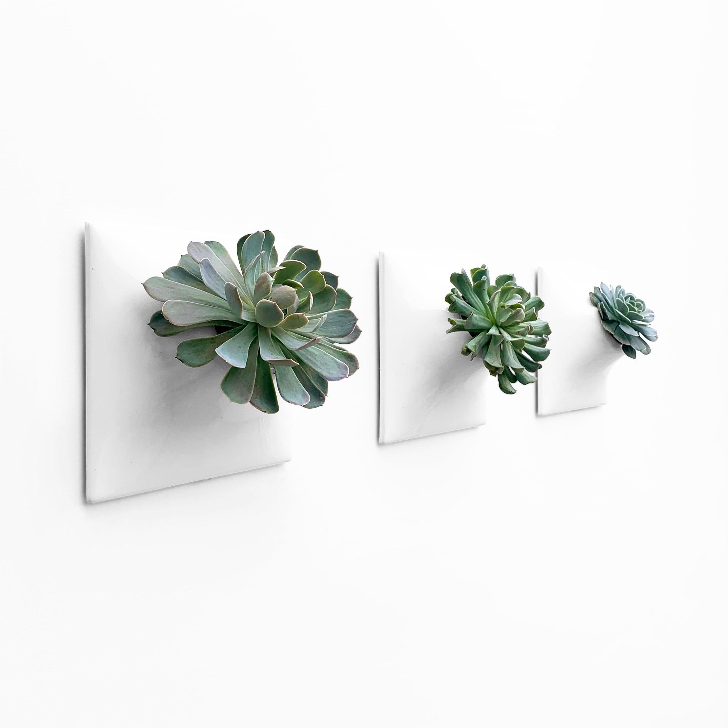 Glazed Modern White Wall Planter Set, Plant Wall Art, Wall Sculpture, Node 9