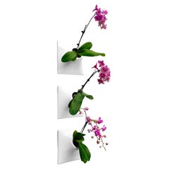 Modern White Wall Planter Set, Plant Wall Art, Living Wall Decor, Node 9" Medium