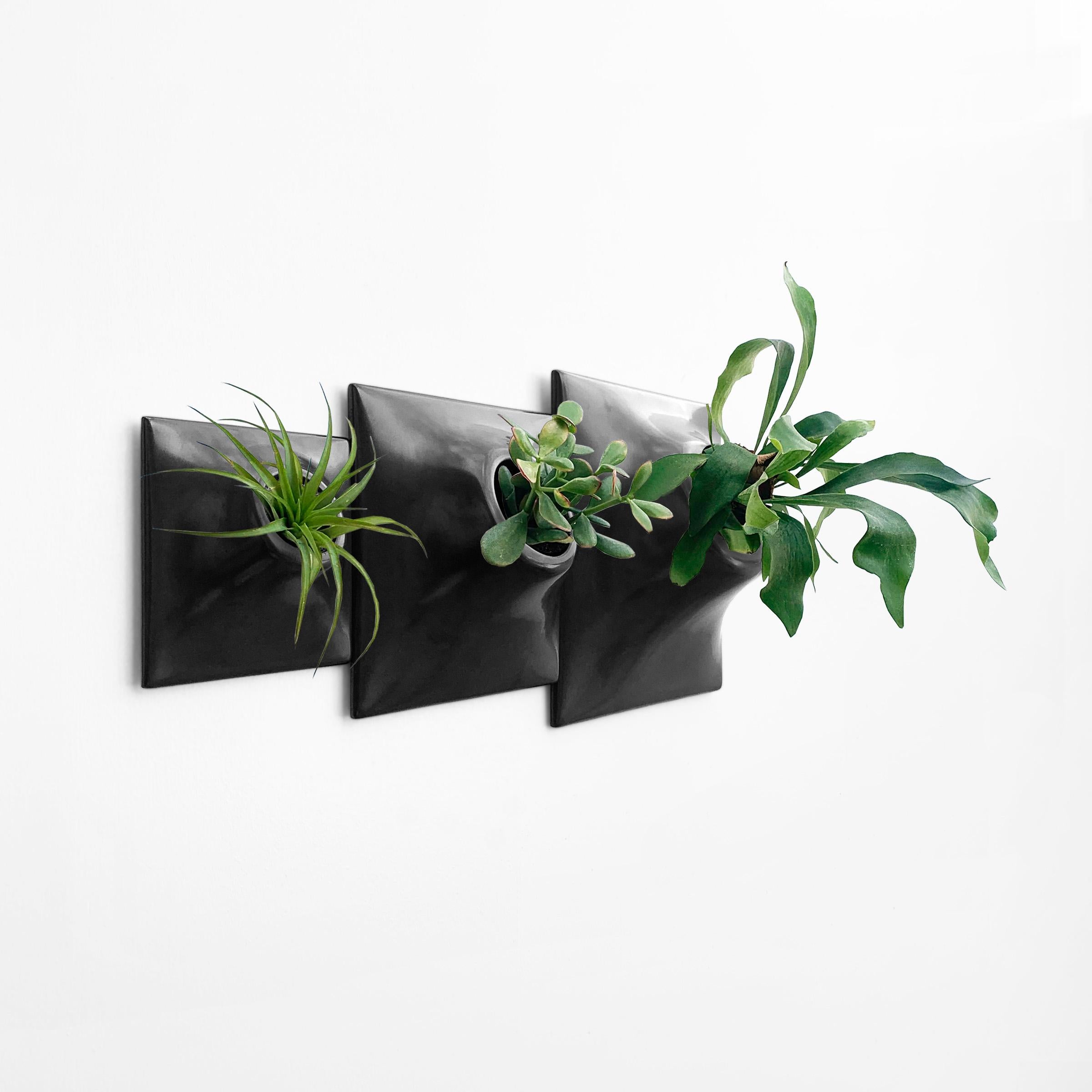 Modern Black Wall Planter Set, Mid Century Modern Decor, Plant Wall Art, Node TP

Take your modern wall art to the next level by creating a dynamic and intriguing living wall or modular plant wall in your home or office with this Node Wall Planter